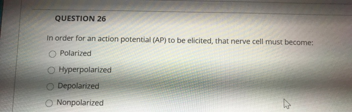 Solved QUESTION 26 In order for an action potential (AP) to | Chegg.com