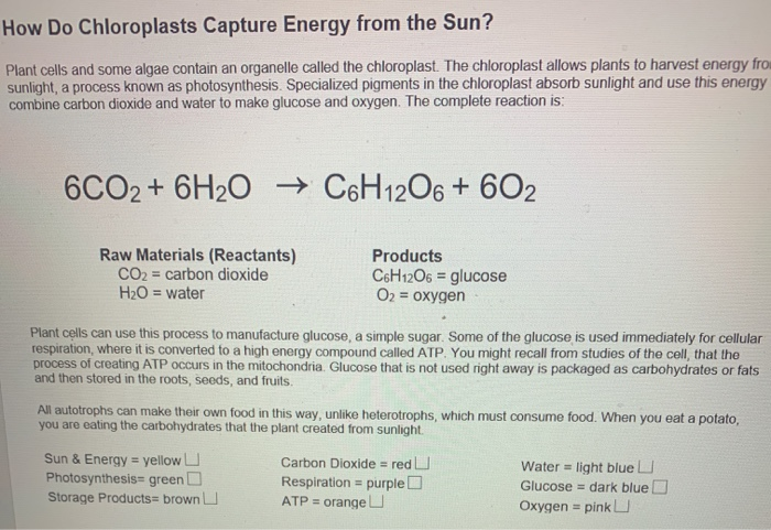 Solved How Do Chloroplasts Capture Energy from the Sun? | Chegg.com