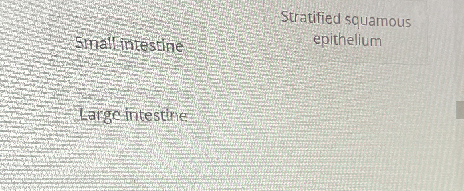 Solved Match the organ with its type of