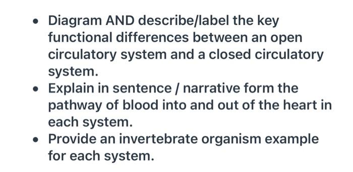 Solved Diagram AND describe label the key functional Chegg