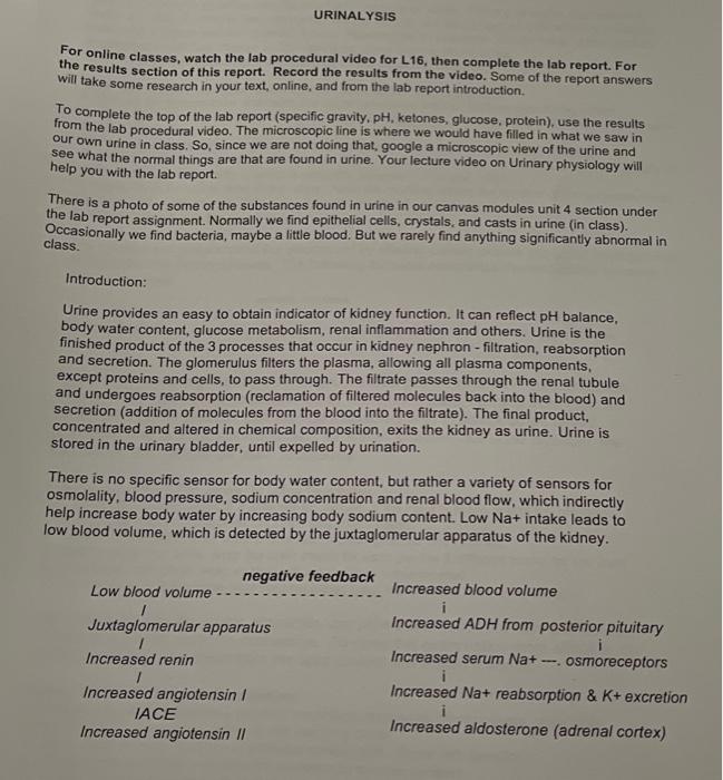 Solved Be certain to view the Lab Procedural video and read | Chegg.com