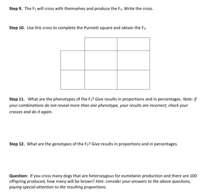 genetics problem solving answer key