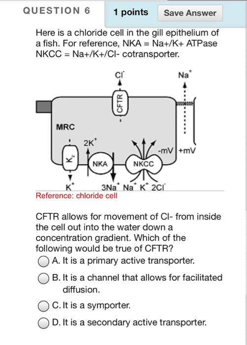 Solved Question 6 1 Points Save Answer Here Is A Chloride 4631