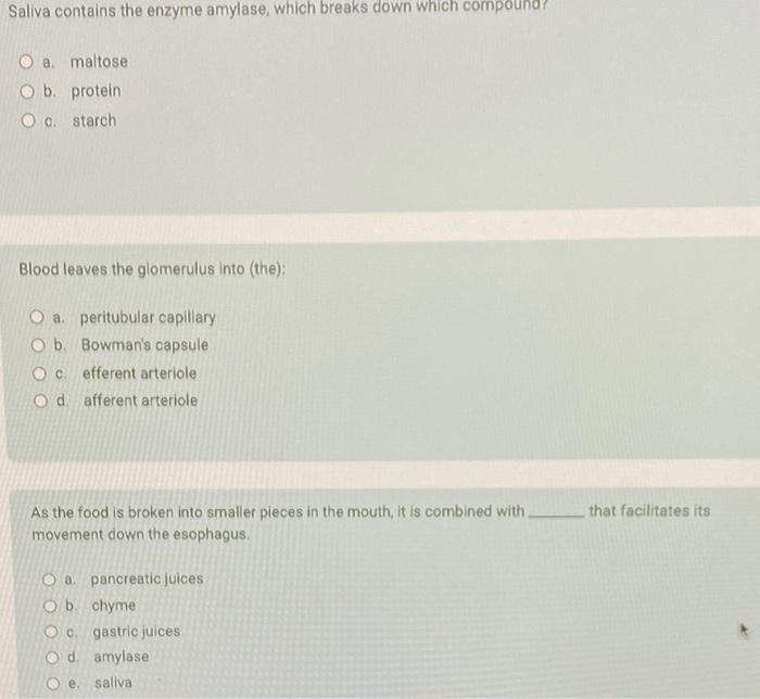Solved Saliva contains the enzyme amylase, which breaks down