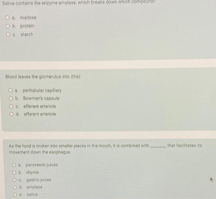 Solved Saliva contains the enzyme amylase, which breaks down | Chegg.com