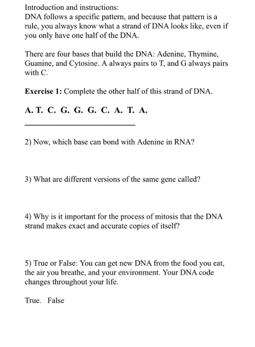 Solved Introduction and instructions: DNA follows a specific | Chegg.com