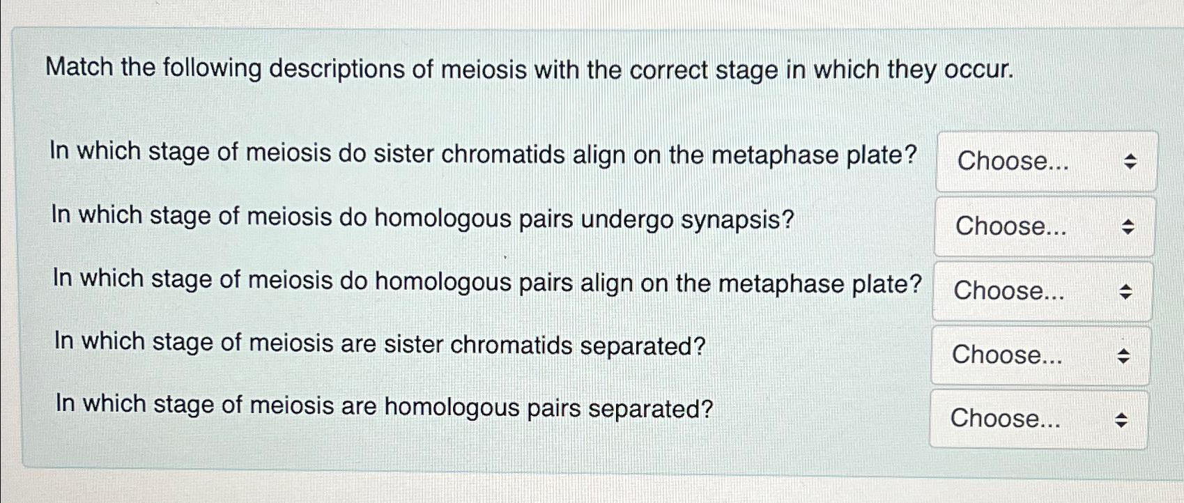 Solved Match the following descriptions of meiosis with the | Chegg.com