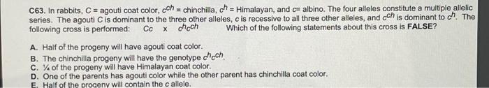 C63. In rabbits, C = agouti coat color, cch = chinchilla, ch=Himalayan, and c= albino. The four alleles constitute a multiple