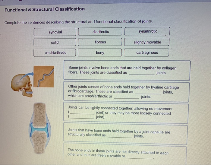 Solved Functional & Structural Classification Complete The | Chegg.com