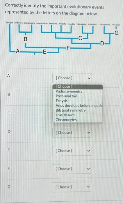 Solved Correctly Identify The Important Evolutionary Events | Chegg.com