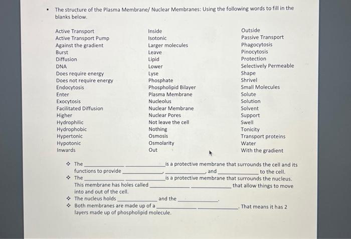 Solved - The structure of the Plasma Membrane/ Nuclear | Chegg.com