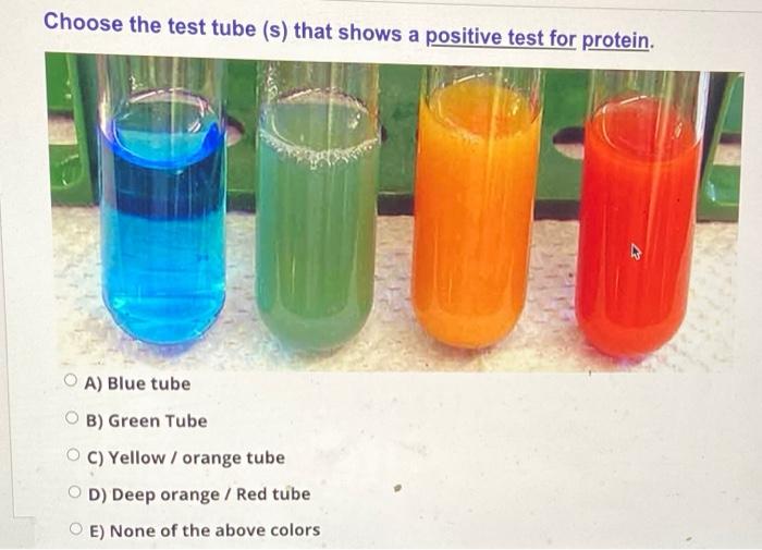 Solved Choose the test tube (s) that shows a positive test | Chegg.com