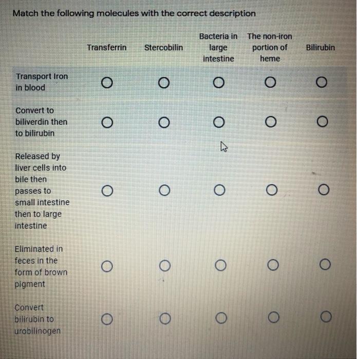 Solved Match The Following Molecules With The Correct | Chegg.com