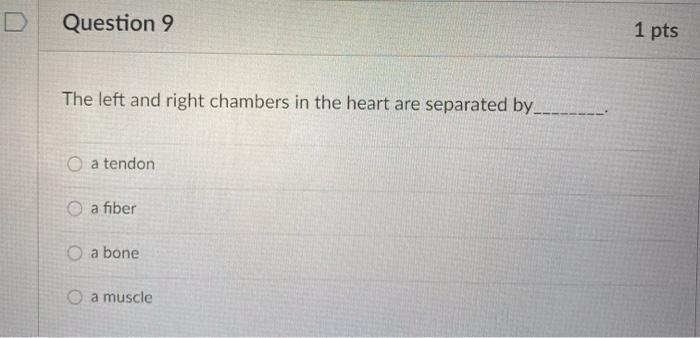Solved Question 9 1 pts The left and right chambers in the | Chegg.com