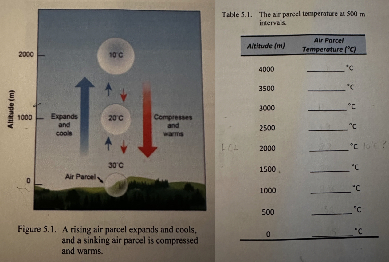 Solved Lable The Correct Air Parcel Temperature At 500m | Chegg.com