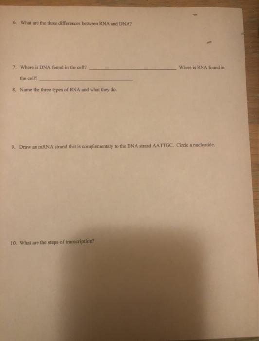 Solved 6 What Are The Three Differences Between Rna And Chegg
