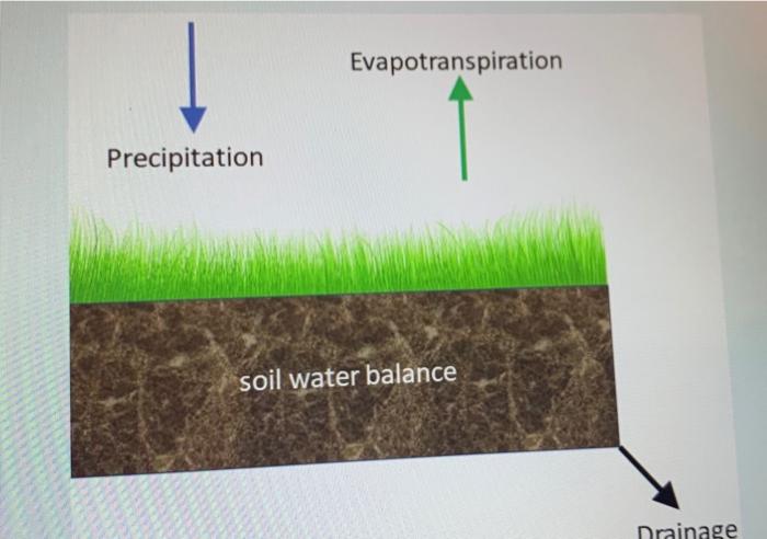 Solved Evapotranspiration Precipitation soil water balance | Chegg.com