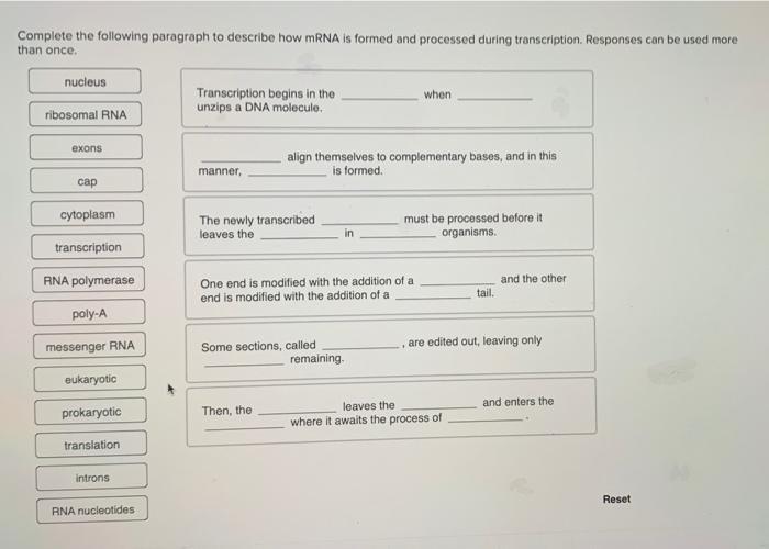 solved-complete-the-following-paragraph-to-describe-how-mrna-chegg
