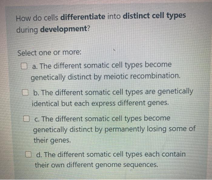Solved How do cells differentiate into distinct cell types | Chegg.com