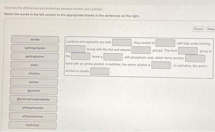 Solved Describe the differences and similarities between | Chegg.com