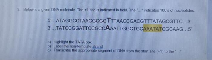 Solved Part 2 Use the genetic code below to answer this | Chegg.com