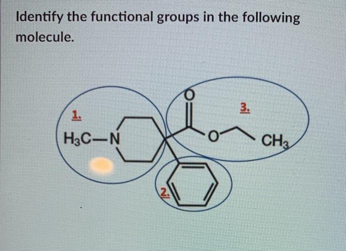 Identify The Functional Groups In The Following Chegg Com