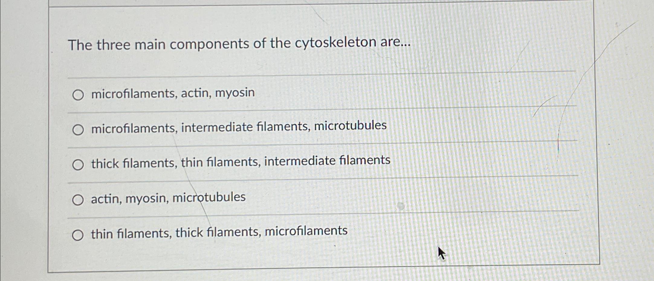 solved-the-three-main-components-of-the-cytoskeleton-chegg