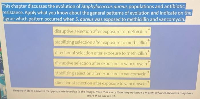 The evolution of Staphylococcus aureus