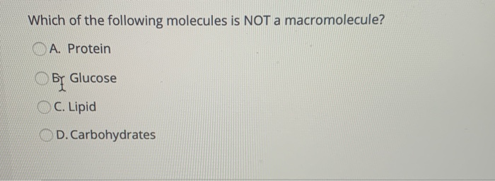 Solved Which Of The Following Molecules Is Not A Macromol Chegg Com