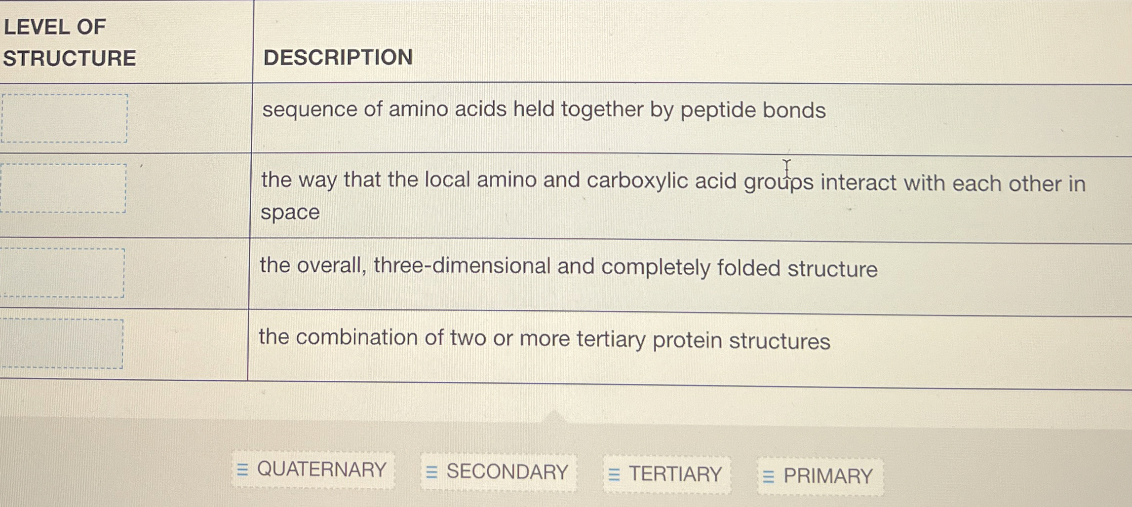 Solved LEVEL OF STRUCTUREDESCRIPTIONsequence of amino acids