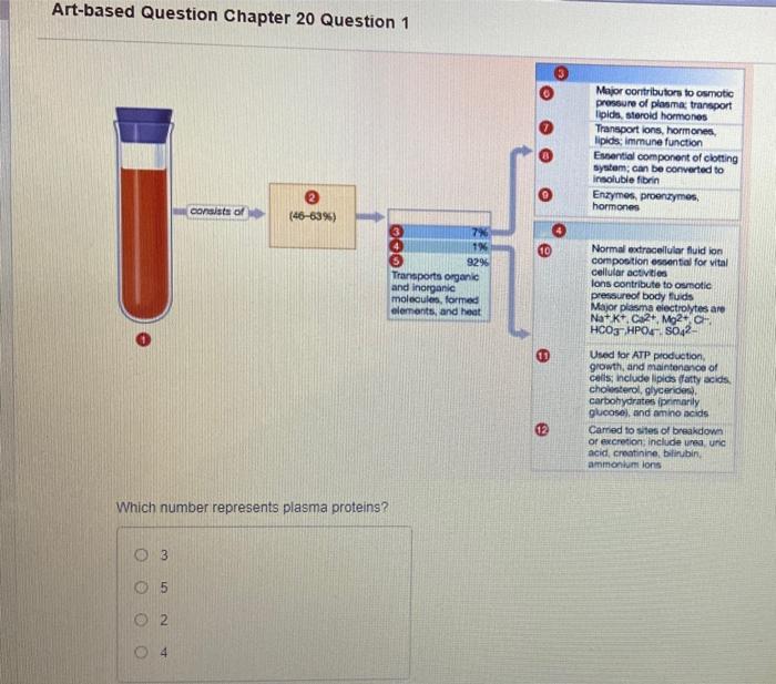 Solved Artbased Question Chapter 20 Question 1 Major
