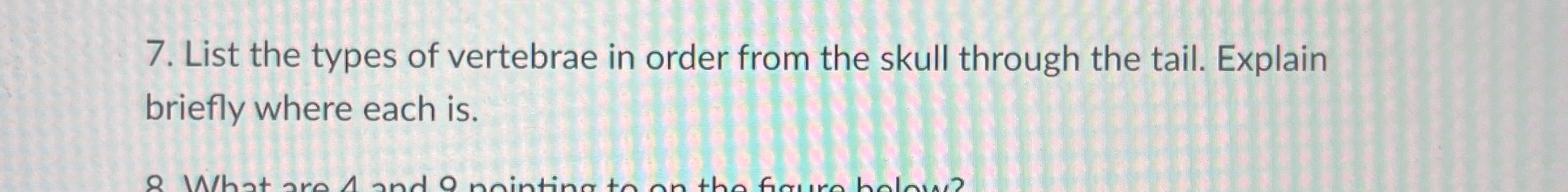 Solved List the types of vertebrae in order from the skull | Chegg.com