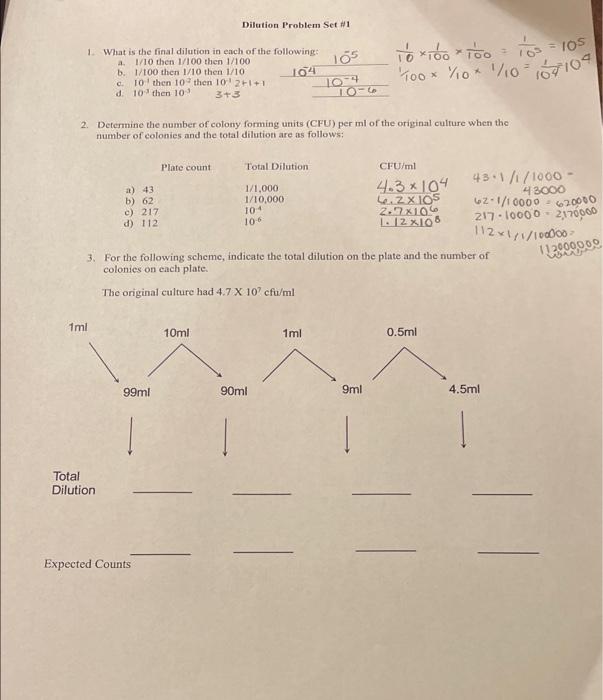 Solved Refer to the below image. Determine the concentration | Chegg.com