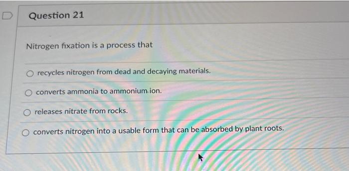 which of the following molecules is a structural carbohydrate in plants