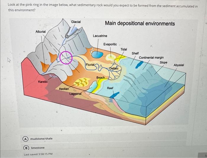 Solved Look at the pink ring in the image below, what | Chegg.com