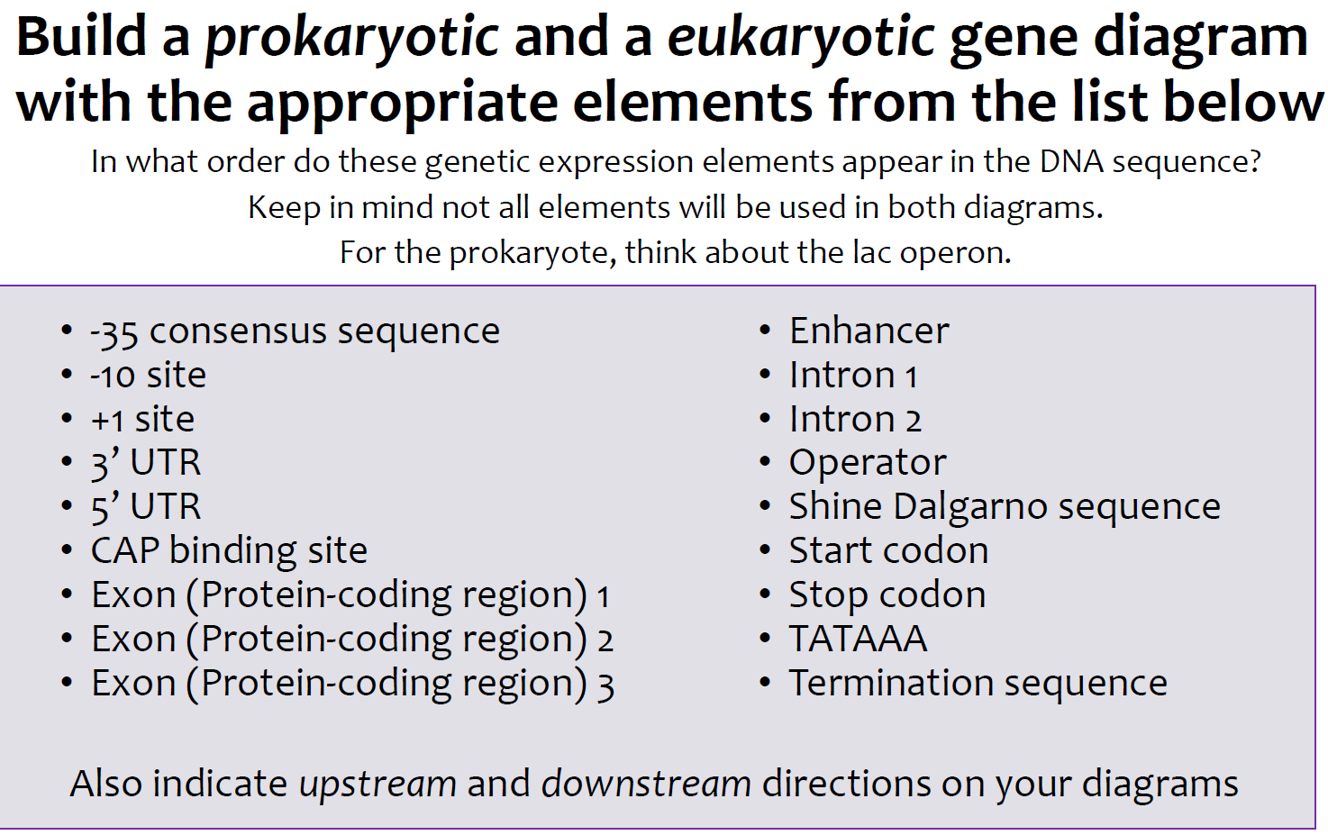 Solved Build a prokaryotic and a eukaryotic gene diagram | Chegg.com