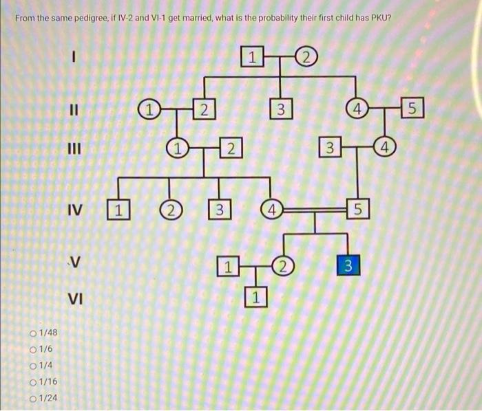 Solved From the same pedigree, if IV-2 and VI-1 get married, | Chegg.com