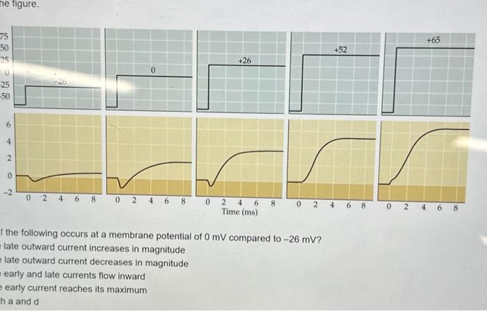 Solved f the following occurs at a membrane potential of 0mV | Chegg.com