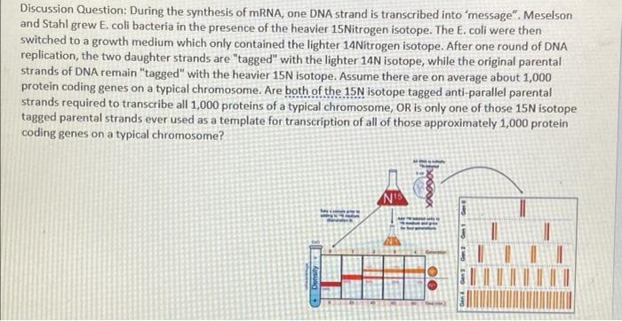 Solved Translation Practice Directions; Using a codon chart, | Chegg.com