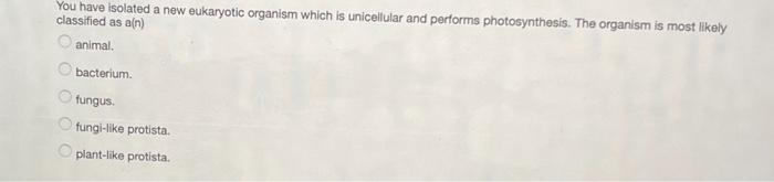 Facts about unicellular organisms image