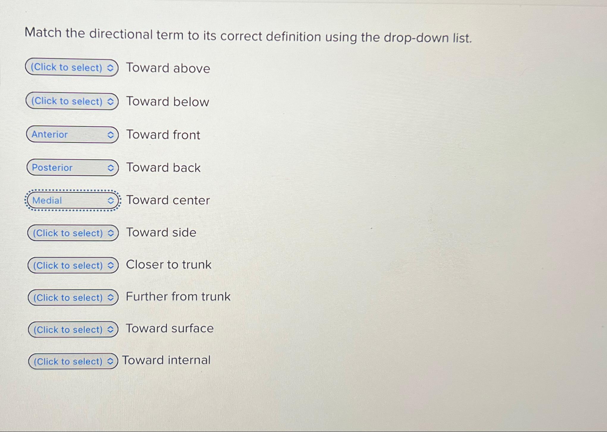 Solved Match the directional term to its correct definition | Chegg.com