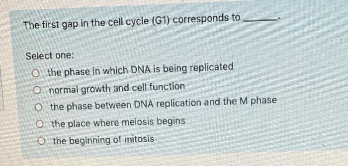 Solved The first gap in the cell cycle (G1) corresponds to | Chegg.com