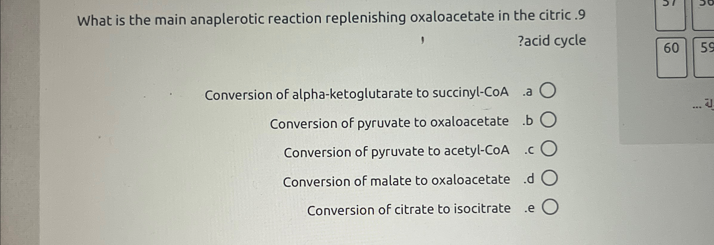 Solved What Is The Main Anaplerotic Reaction Replenishing 3603