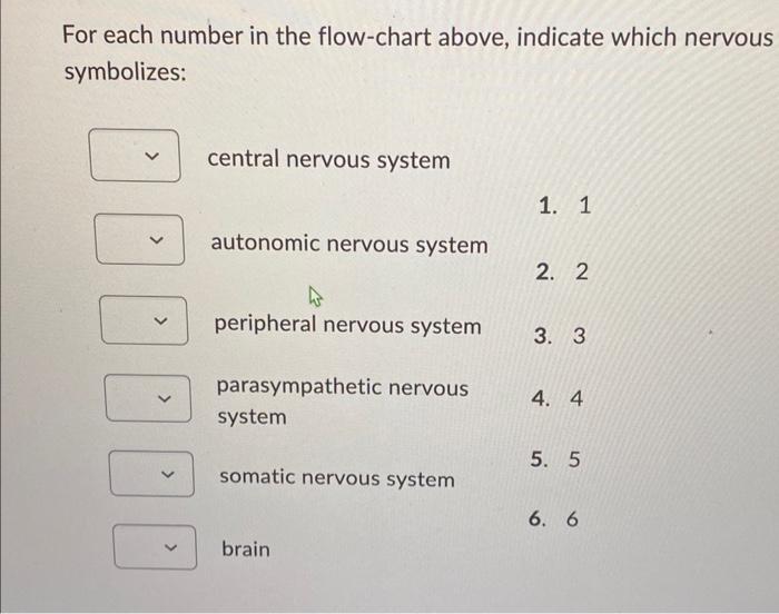 Solved Match each description with the most appropriate | Chegg.com