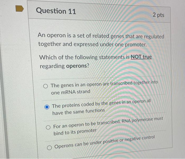 Solved An operon is a set of related genes that are | Chegg.com
