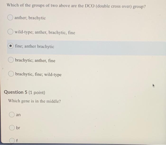 Solved Questions 4 8 Will Be A Three Point Mapping Use