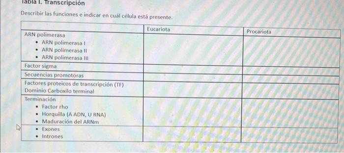 Iabla I. Transcripción Describir las funciones e indicar en cuál célula está presente.