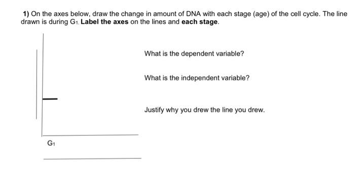 Solved 1) On the axes below, draw the change in amount of | Chegg.com