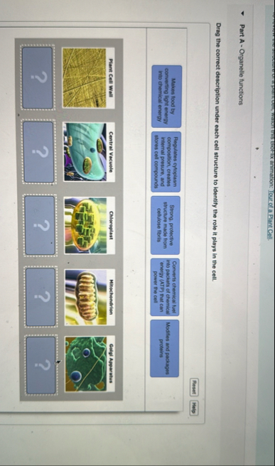 student submitted image, transcription available below