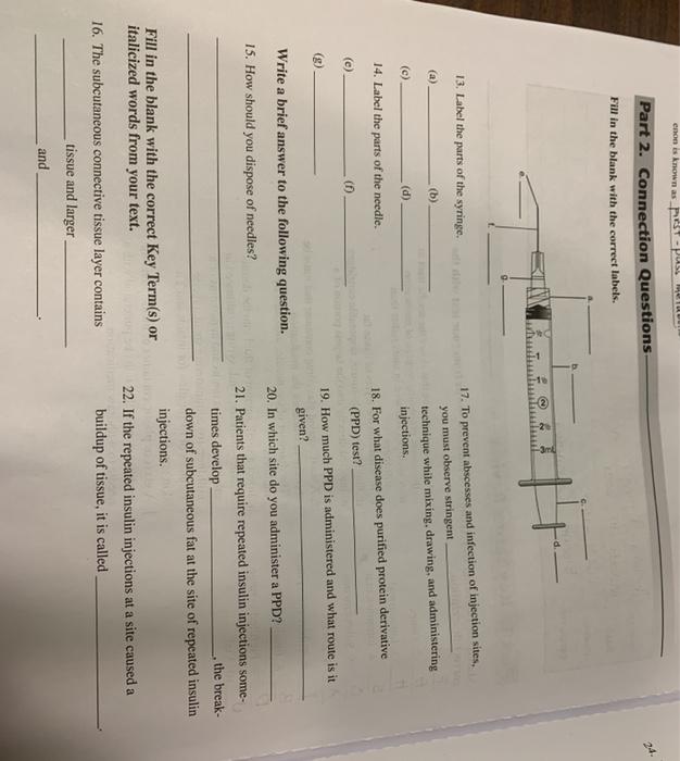 enon is known as _t-puso mo Part 2. Connection Questions 24. Fill in the blank with the correct labels. 13. Label the parts o